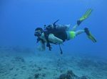 Hawaii Scuba divng 51