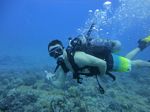 Hawaii Scuba divng 54