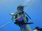 Hawaii Scuba divng 08