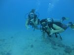 Hawaii Scuba divng 16