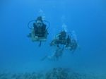 Hawaii Scuba divng 19