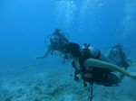 Hawaii Scuba divng 23