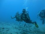 Hawaii Scuba divng 24