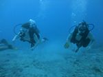 Hawaii Scuba divng 25