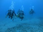 Hawaii Scuba divng 26