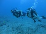 Hawaii Scuba divng 27