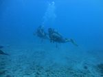 Hawaii Scuba divng 28