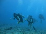Hawaii Scuba divng 29