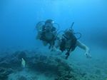 Hawaii Scuba divng 31