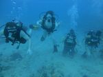 Hawaii Scuba divng 37