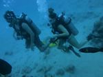 Hawaii Scuba divng 38