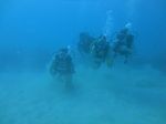 Hawaii Scuba divng 46