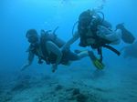 Hawaii Scuba divng 49