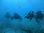 Hawaii Scuba divng 52