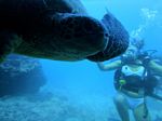 Hawaii Scuba divng 57