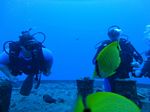 Hawaii Scuba divng 13