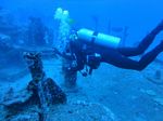 Hawaii Scuba divng 15