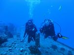 Hawaii Scuba divng 17