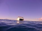 Hawaii Scuba divng 40