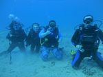 Hawaii Scuba divng 45