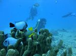 Hawaii Scuba divng 46