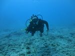 Hawaii Scuba divng 48