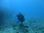 Hawaii Scuba divng 49