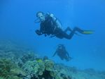 Hawaii Scuba divng 54