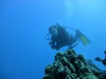 Hawaii Scuba divng 57