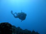 Hawaii Scuba divng 58