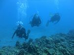 Hawaii Scuba divng 63