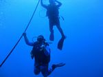 Hawaii Scuba divng 06