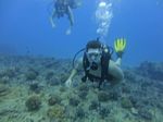 Hawaii Scuba divng 11