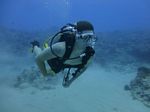 Hawaii Scuba divng 12