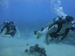 Hawaii Scuba divng 13