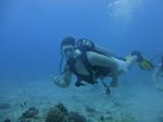 Hawaii Scuba divng 18