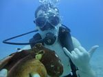 Hawaii Scuba divng 21