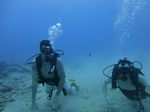 Hawaii Scuba divng 33