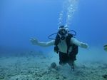 Hawaii Scuba divng 34