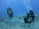 Hawaii Scuba divng 38