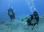 Hawaii Scuba divng 38