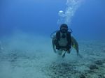 Hawaii Scuba divng 40