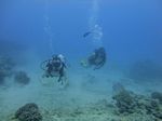 Hawaii Scuba divng 48