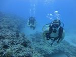 Hawaii Scuba divng 51