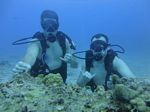 Hawaii Scuba divng 52