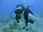 Hawaii Scuba divng 53