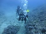 Hawaii Scuba divng 56