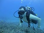 Hawaii Scuba divng 56