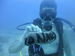 Hawaii Scuba divng 58