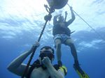 Hawaii Scuba divng 05